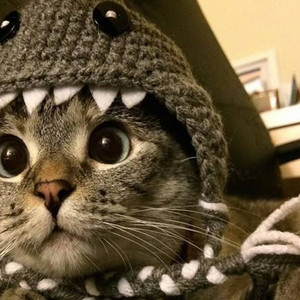 Jetsi Tr - do you miss me haha