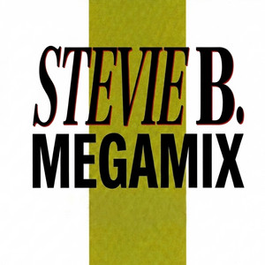 The Megamix - Radio Version
