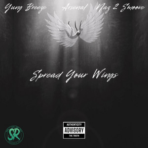 Portada de Spread Your Wings