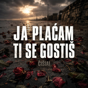 Ja plaćam ti se gostiš by ČIŠIAI
