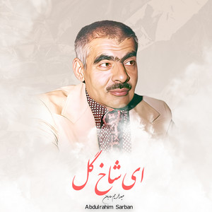 Abdulrahim Sarban - تا که نباشد همدم جانی
