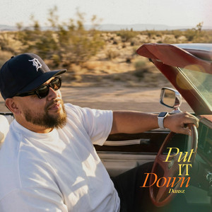 Put It Down by Dansz