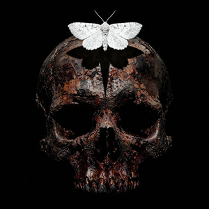7th Ward Pact by HEX BLOOD