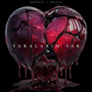 yaralarım var by barony1