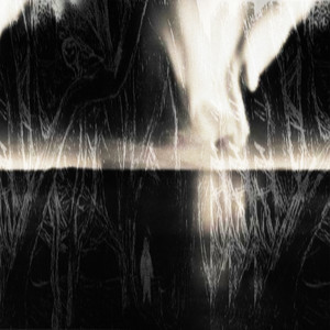 Edge by Paper Butterfly, yvmxd