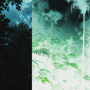 Jungle Signal by Blou Castle