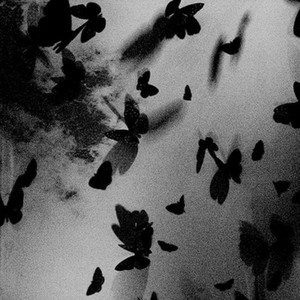 Gone by NvrCxre