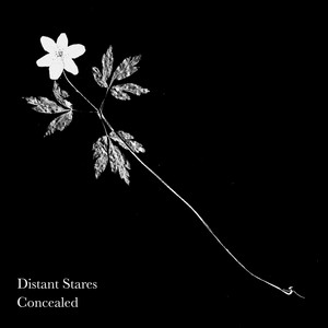 Concealed by Distant Stares