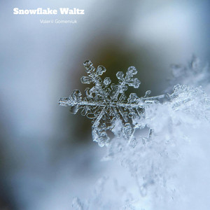 Snowflake Waltz