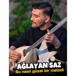Ağlayan saz - Bu nasıl güzel melodi Erdal Erdoğan 2026 by Erdal Erdoğan