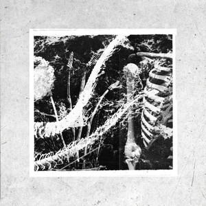 Kadaitcha — Urban Somnambulistics