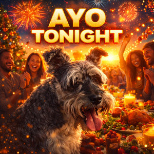 AYO Tonight by AYO Vision