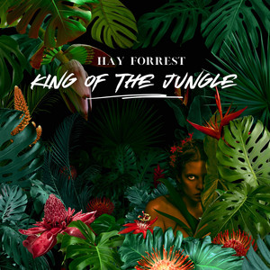 After Dark Falling by Hay Forrest
