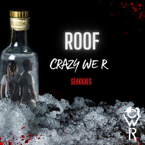 ROOF by Crazy We R