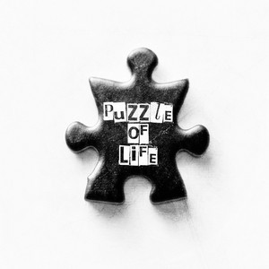 Puzzle of Life
