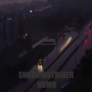 SHXDOWSTRIDER - NUMB