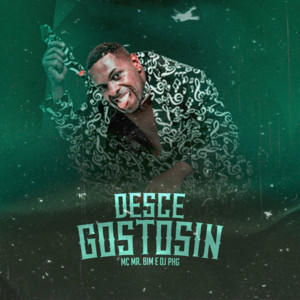 Mc Mr. Bim & DJ PHG - Desce Gostosin (Remix)