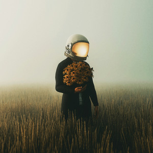Genesis by Evolent