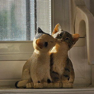 Me and My Husband by Willow Litwiller