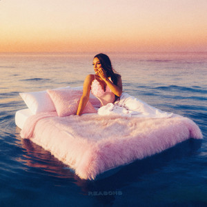 Reasons by Meco Velez