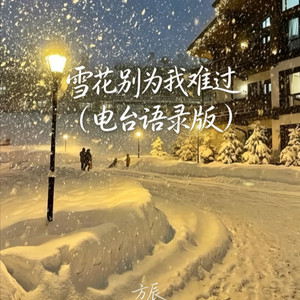 雪花别为我难过 - 电台语录版 by 方辰