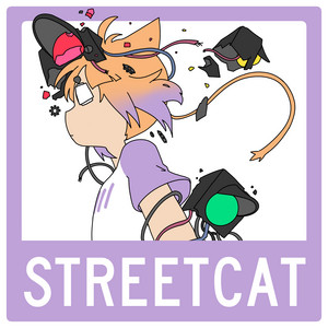 streetcat