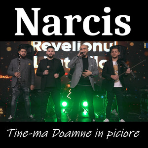 Narcis - Tine-ma Doamne in piciore (Live)