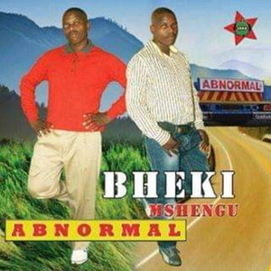 Bheki Mshengu - Zinsongo
