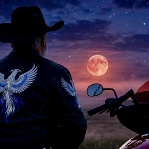 Hawk Phoenix — Another Blues Tune (2026)