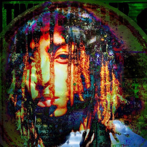 Shinka Honne - Rågę Ęñvÿūš