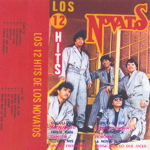 Triste Vida by Los Novatos
