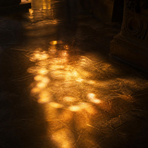 Wax and Gold by Noor Salz