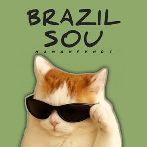 Brazil Sou