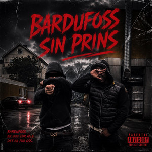 Bardufoss sin prins by Hxkon
