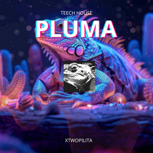 xtwopilita - PLUMA
