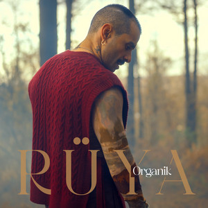 Gökhan Türkmen - Rüya (Organik)