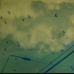 Temporal by Huésped Solitario
