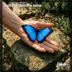 Nothing stays the same by Jakø