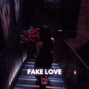 FAKE LOVE