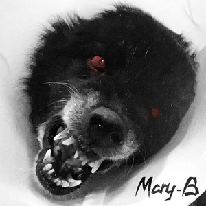 Mary-B - Lil Bastard