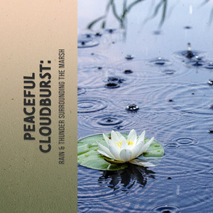 Peaceful Cloudburst: Rain & Thunder Surrounding the Marsh album