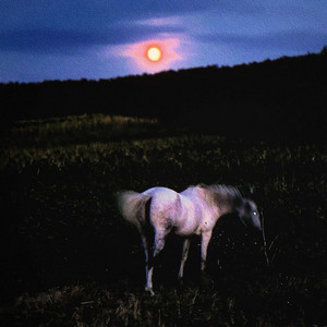 Have Mercy by Astro Ant