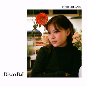 Disco Ball by Echo Huang