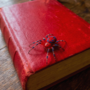 Dear Spider by Jah Heer