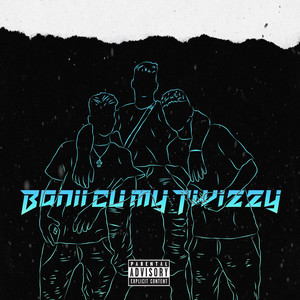 Bani Cu My Twizzy