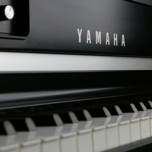 Primitive electric piano