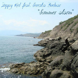 Summer Alarm