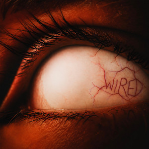Groovy — WIRED (2026)