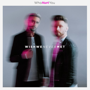 Wish We Never Met by WhoHurtYou