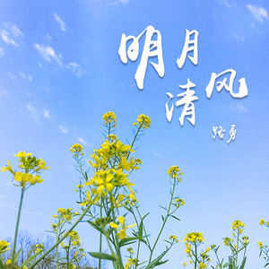 明月清風 (DJheap九天版) by 路勇